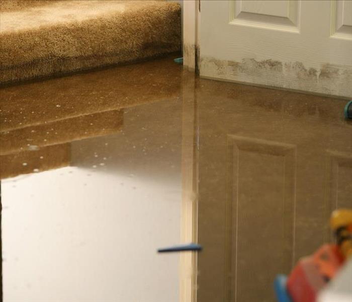 Threshold of a flooded room with mold around the door and edges.